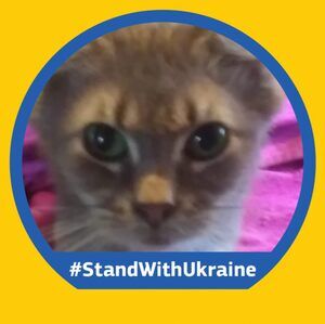 Meet your Posher, Dee